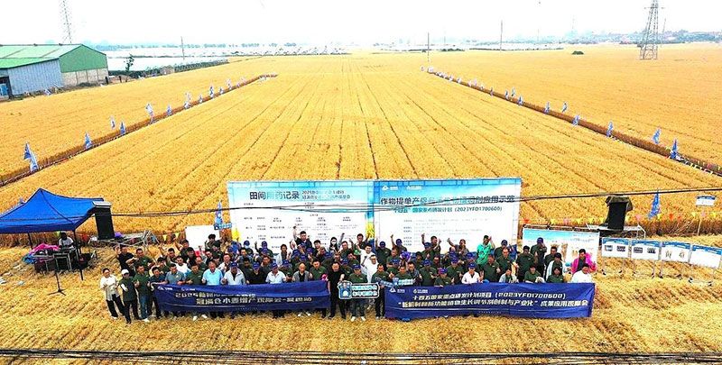 生物技術助力糧食單產顯著提升-“十四五”國家重點研發(fā)計劃成果應用觀摩會圓滿落幕