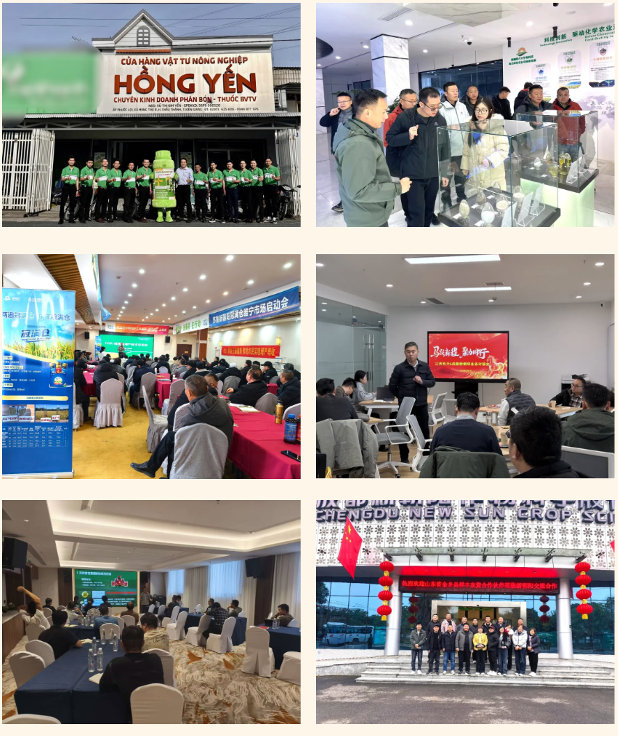 快馬加鞭戰春耕，馬年奮進正當時