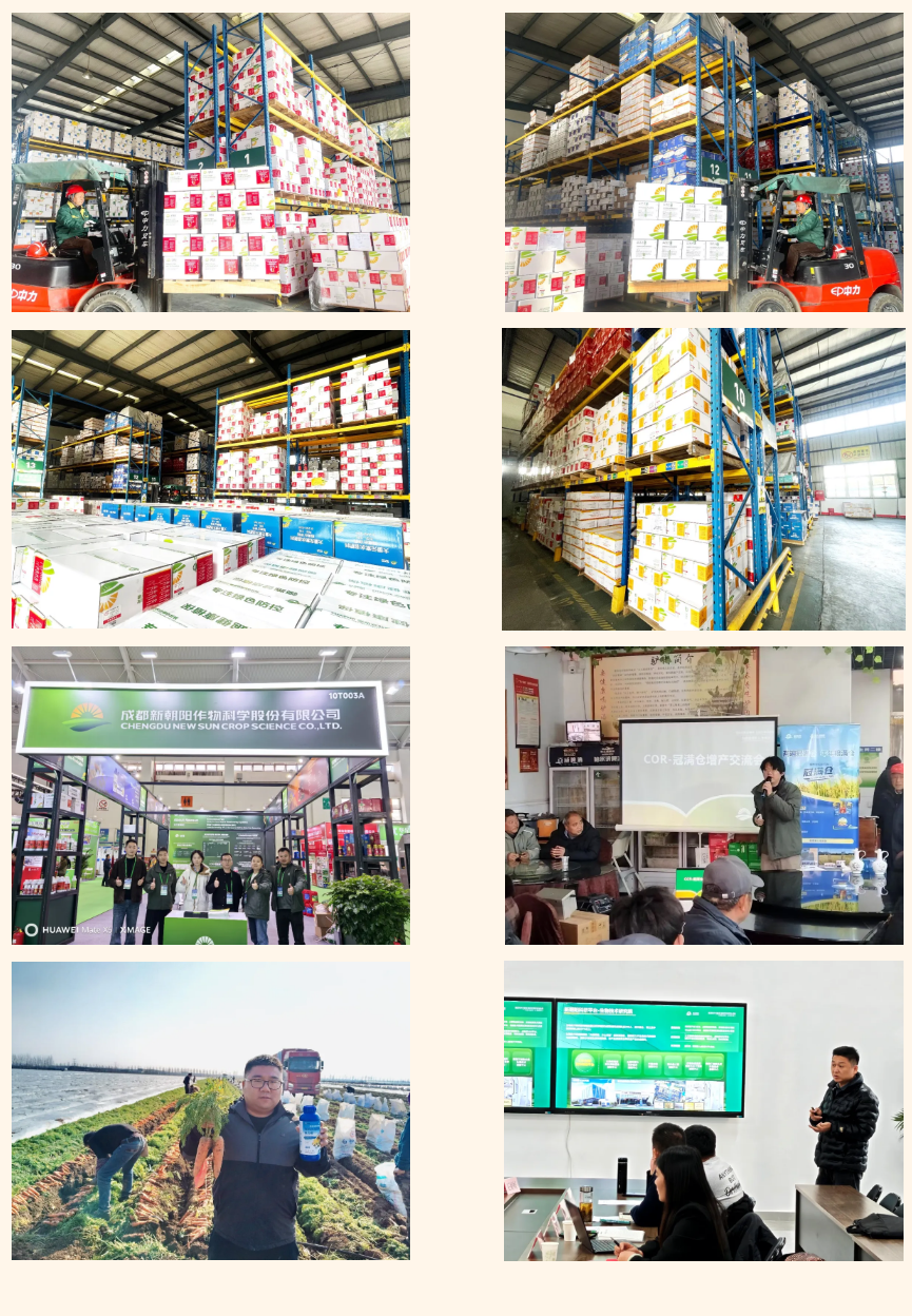 快馬加鞭戰春耕，馬年奮進正當時