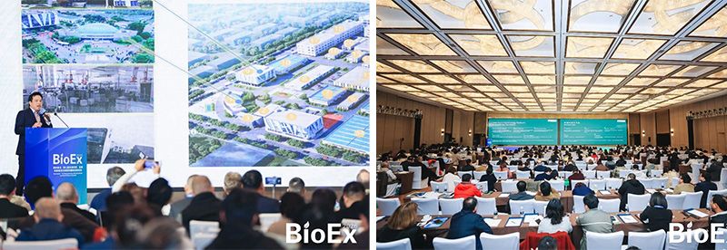 新朝陽亮相BioEx 2026：技術供給+屬地化協同，推動高性能生物刺激素高效落地