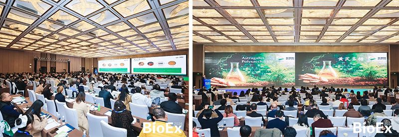 新朝陽亮相BioEx 2026：技術供給+屬地化協同，推動高性能生物刺激素高效落地