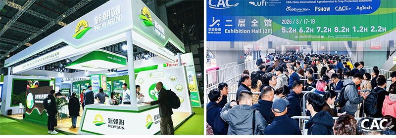 CAC 2026 | 新朝陽攜豐富產品矩陣亮相，全球合作再拓新局